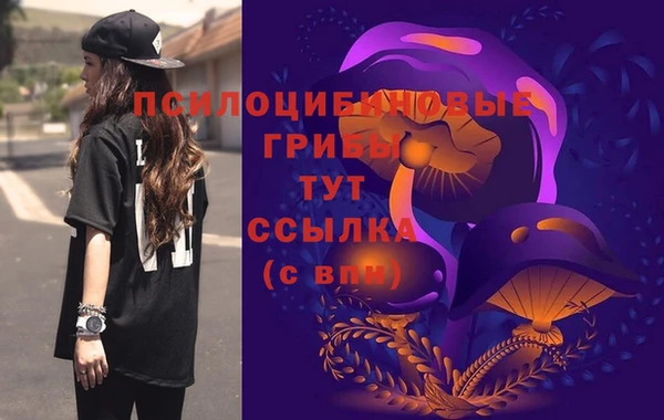 прущий лед Белокуриха